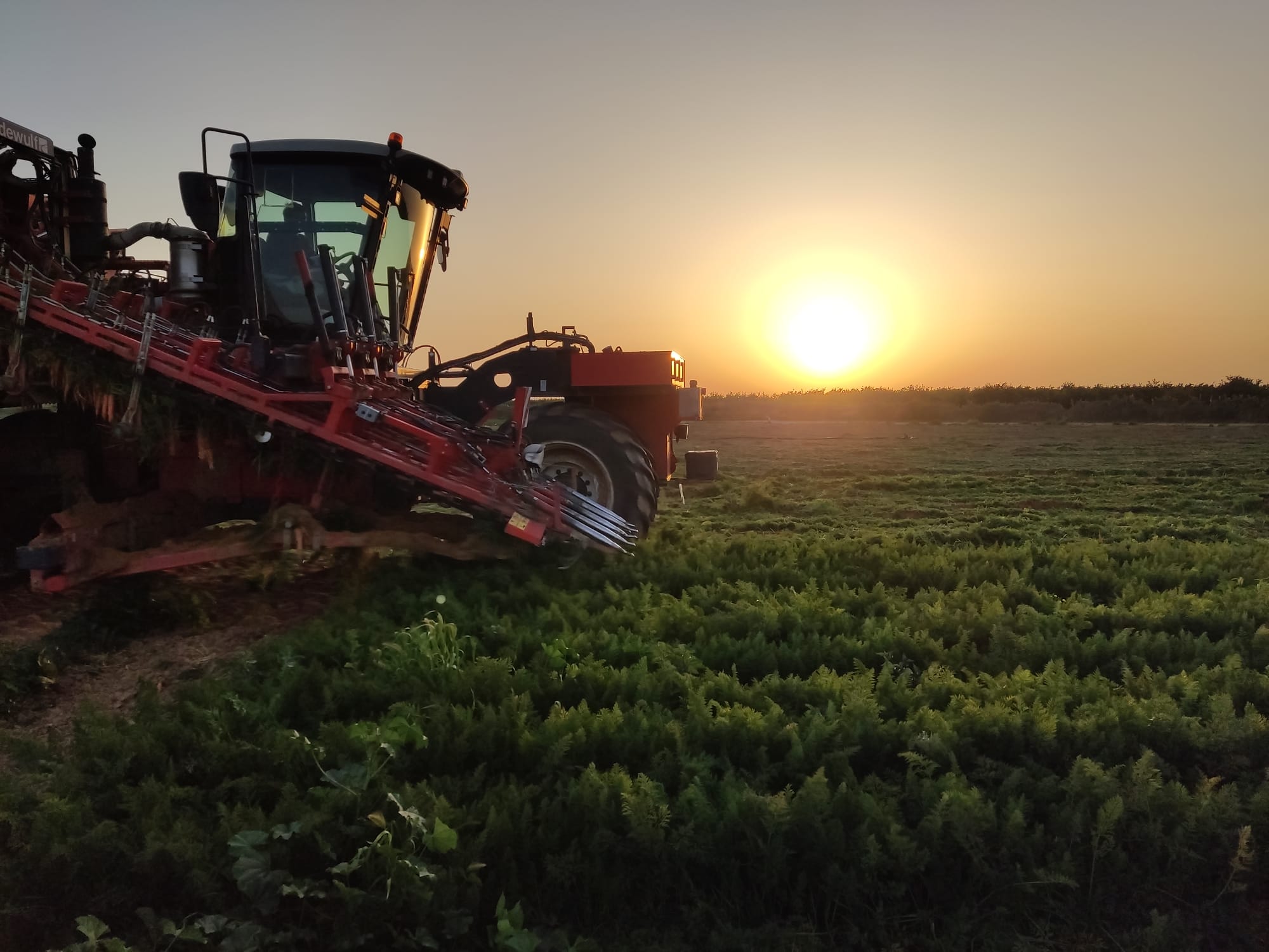 Food security